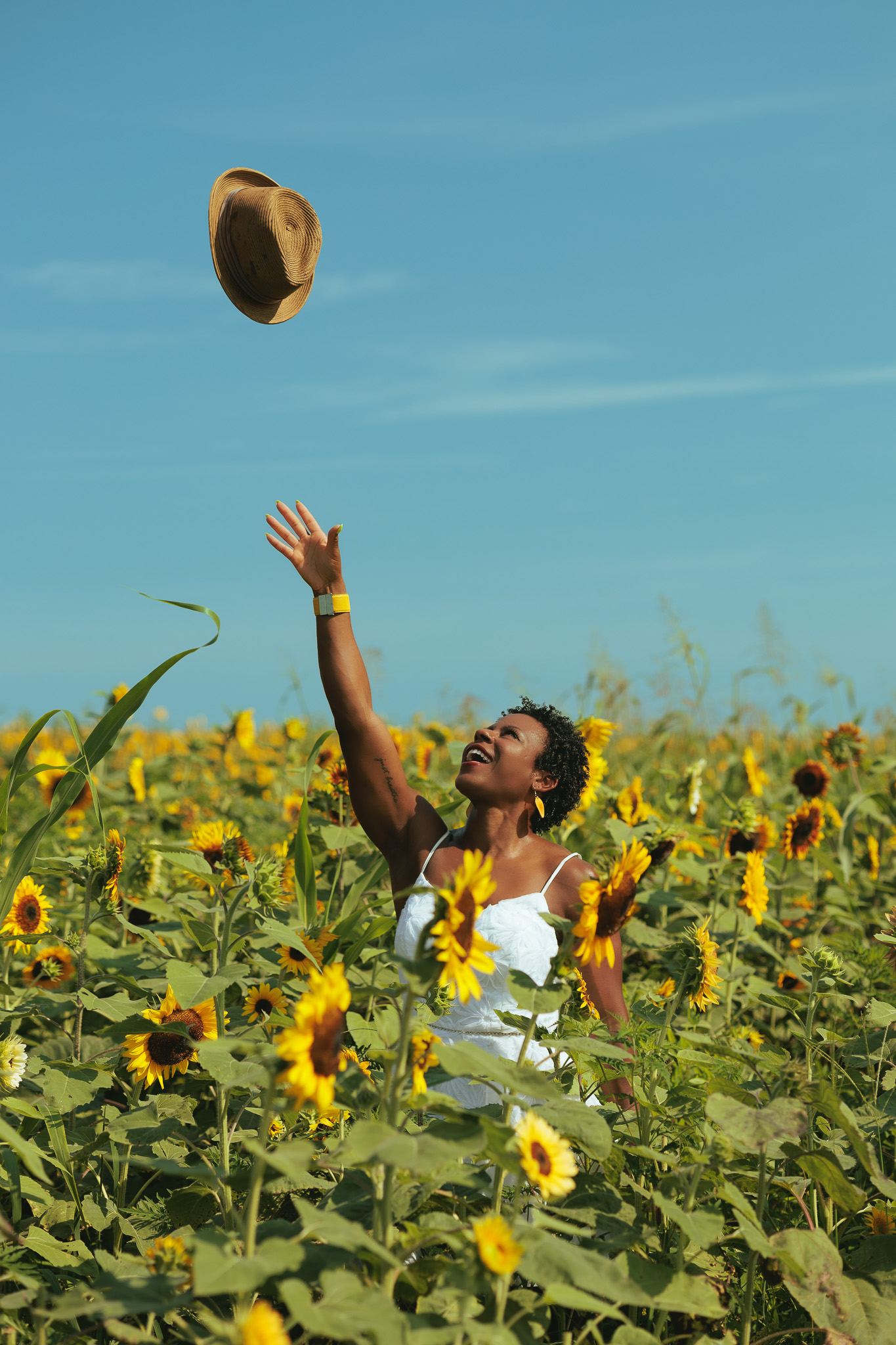 Sunflower field beneath a wide open blue sky